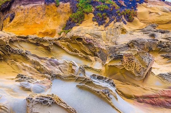 Rocky Formations at Bean Hollow Beach-California-USA